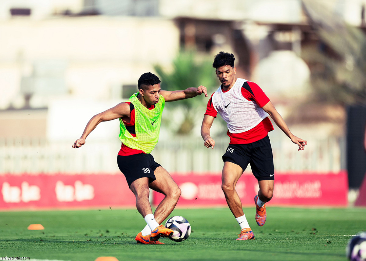 استرجاعي ومناورة