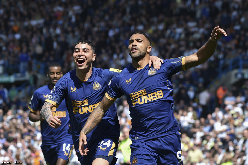 ليدز يفرض التعادل على نيوكاسل