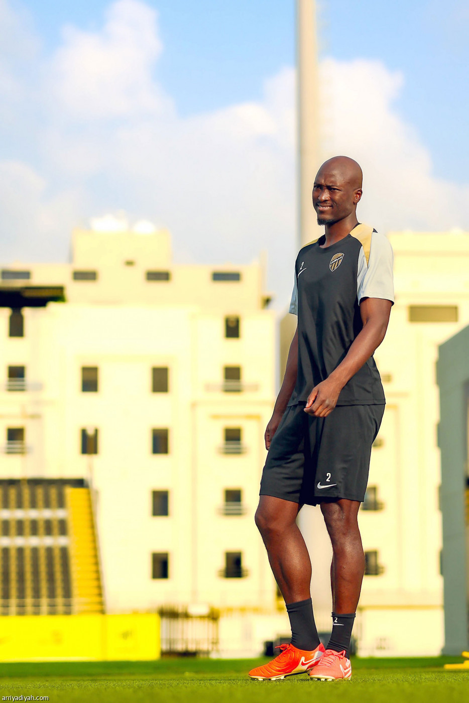 «النمور» جاهزون