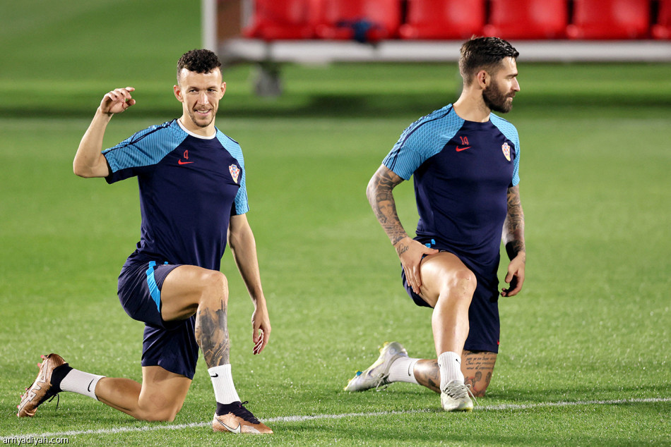 مشاركة 1998 
تحفز الأسود