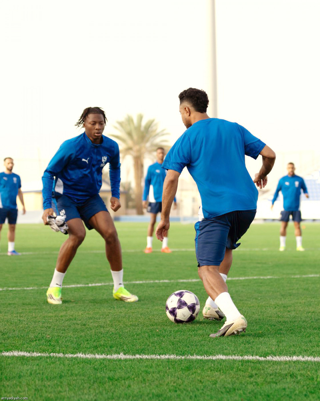 الهلال يتأهب