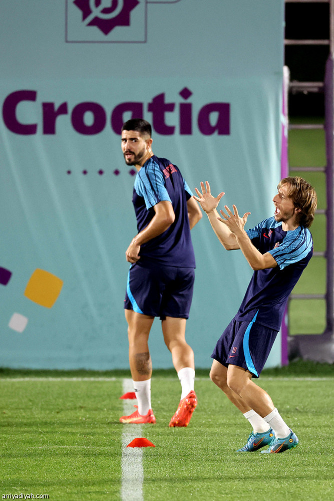 مشاركة 1998 
تحفز الأسود