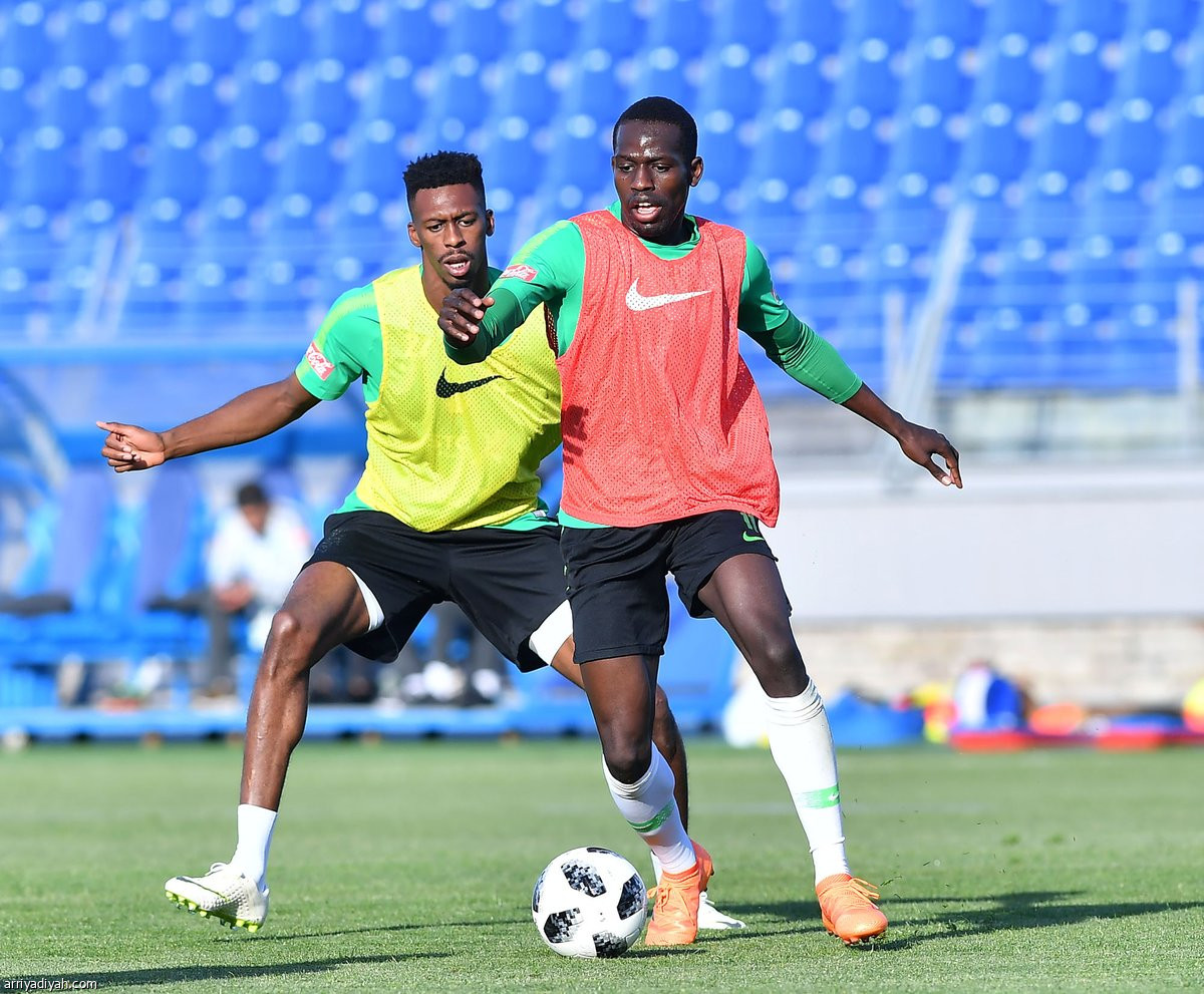 الأخضر  في سان بطرسبرج