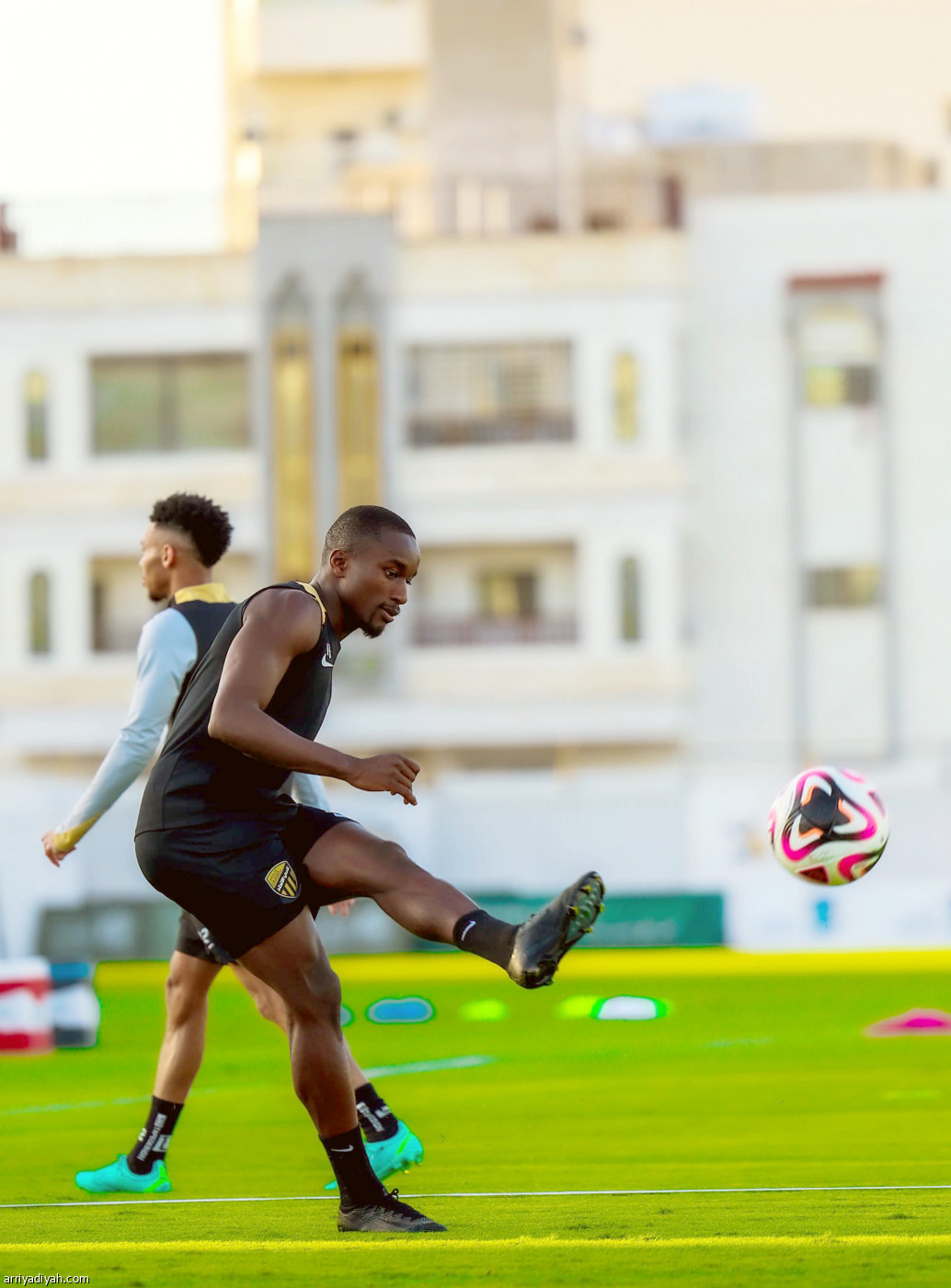 تحضيرات النمور