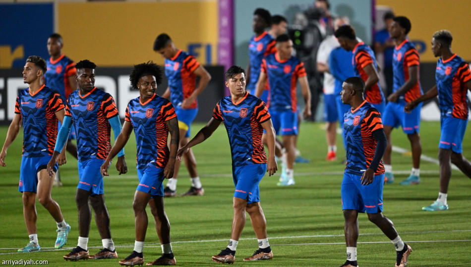 هولندا والإكوادور.. مواجهة الاقتراب