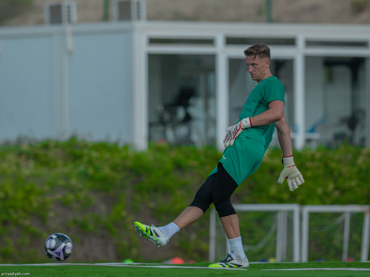 جالتيه يناور