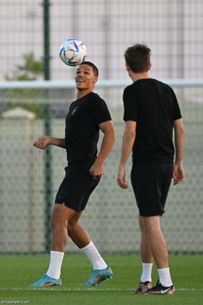 فرنسا والدنمارك.. مواجهة العيار الثقيل