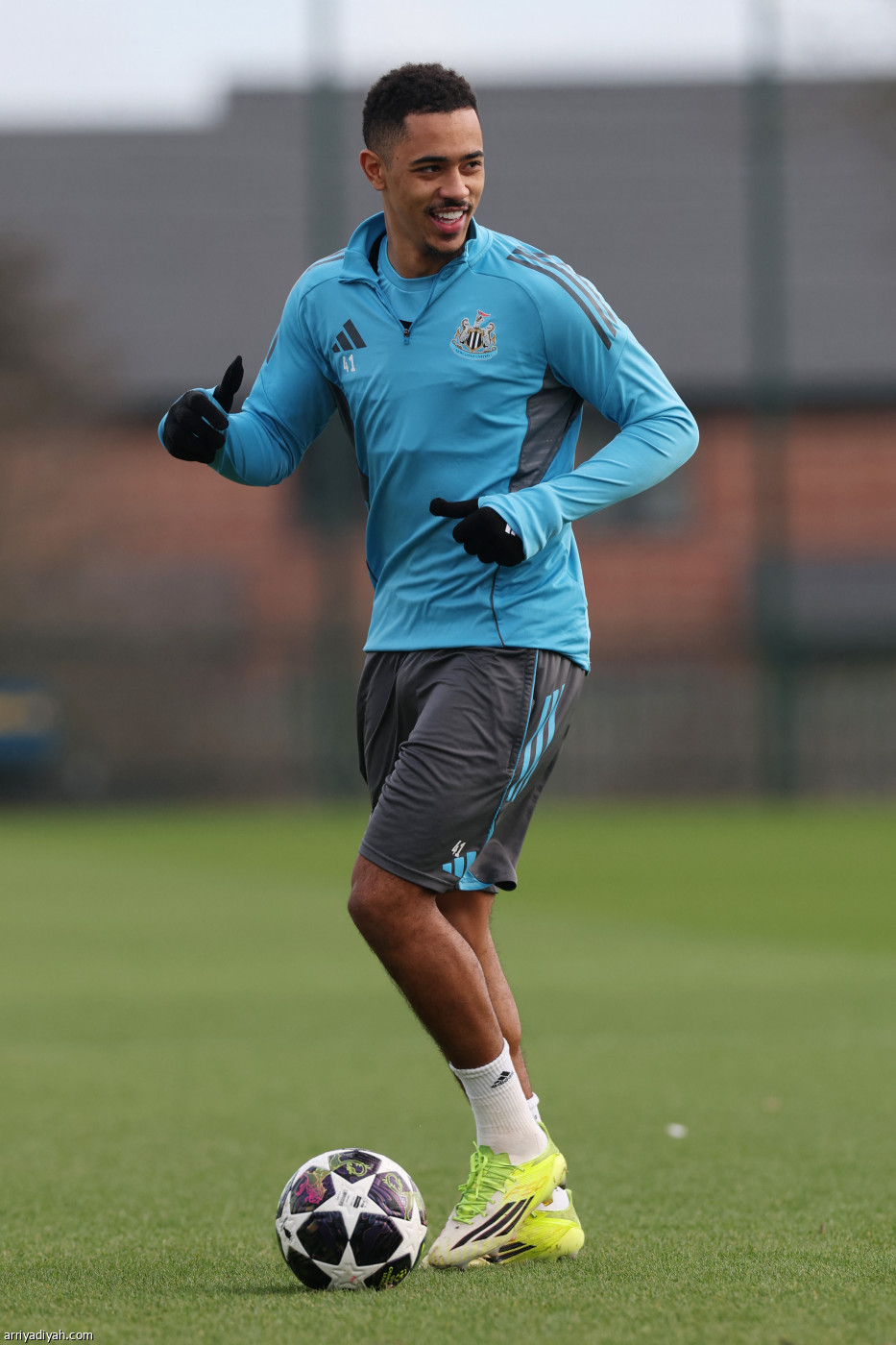 نيوكاسل جاهز