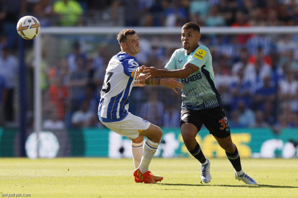 برايتون ونيوكاسل يكتفيان بالتعادل