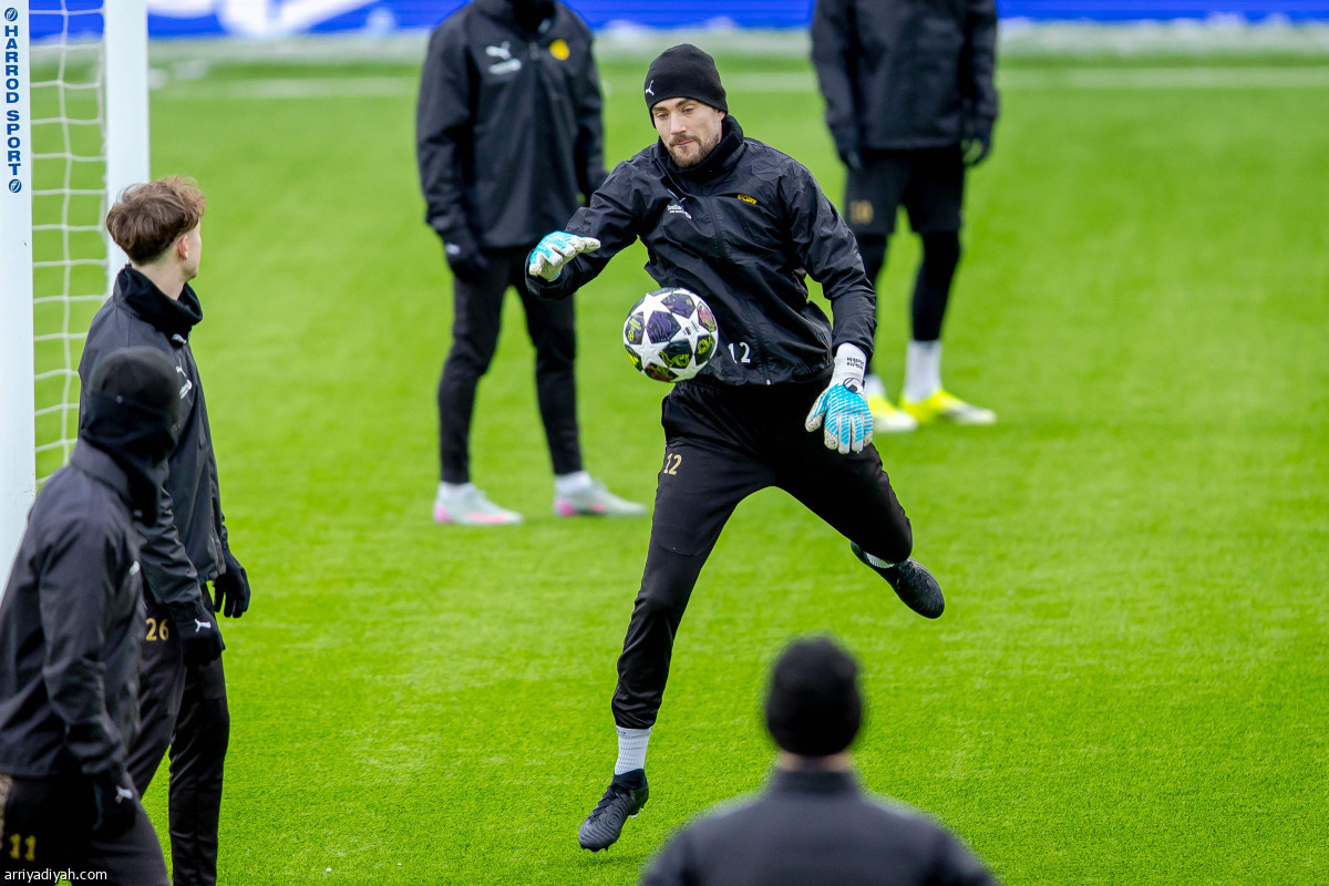 جاهزية بلجيكية