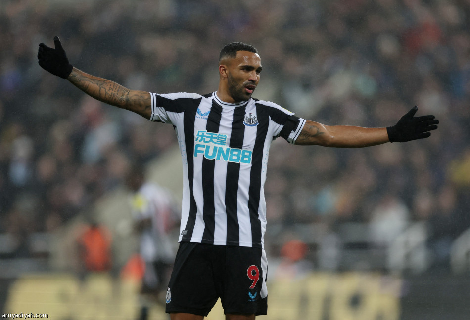 ليدز ينهي سلسلة انتصارات نيوكاسل