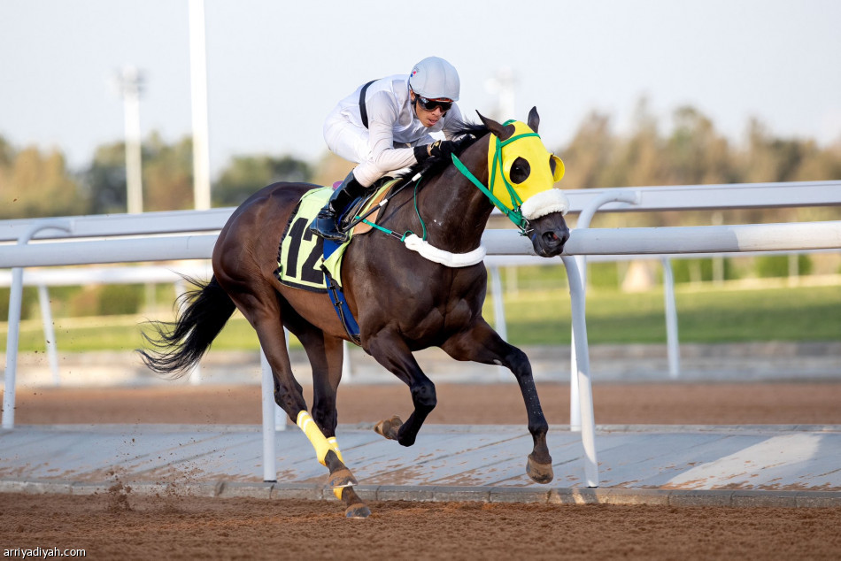 «نافذة» تحصد كأس مهرجان الورد الطائفي