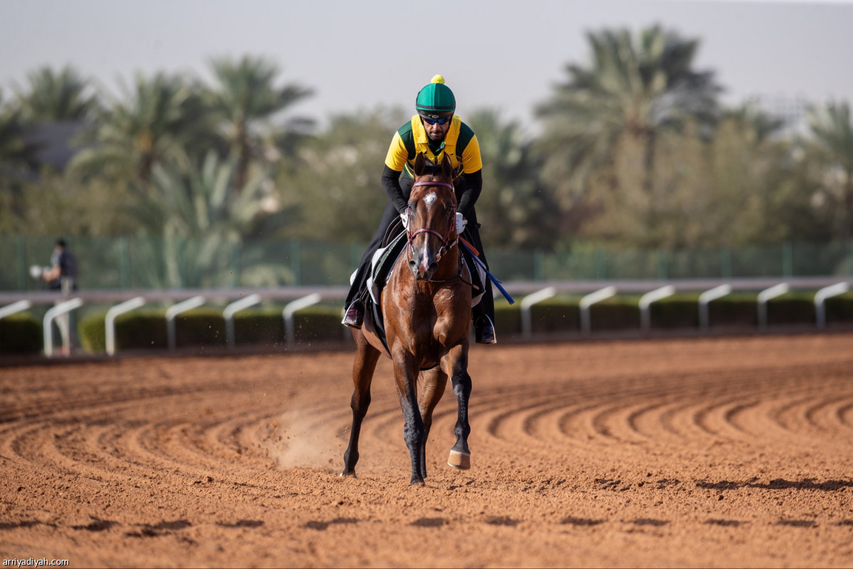 تدريبات مستمرة