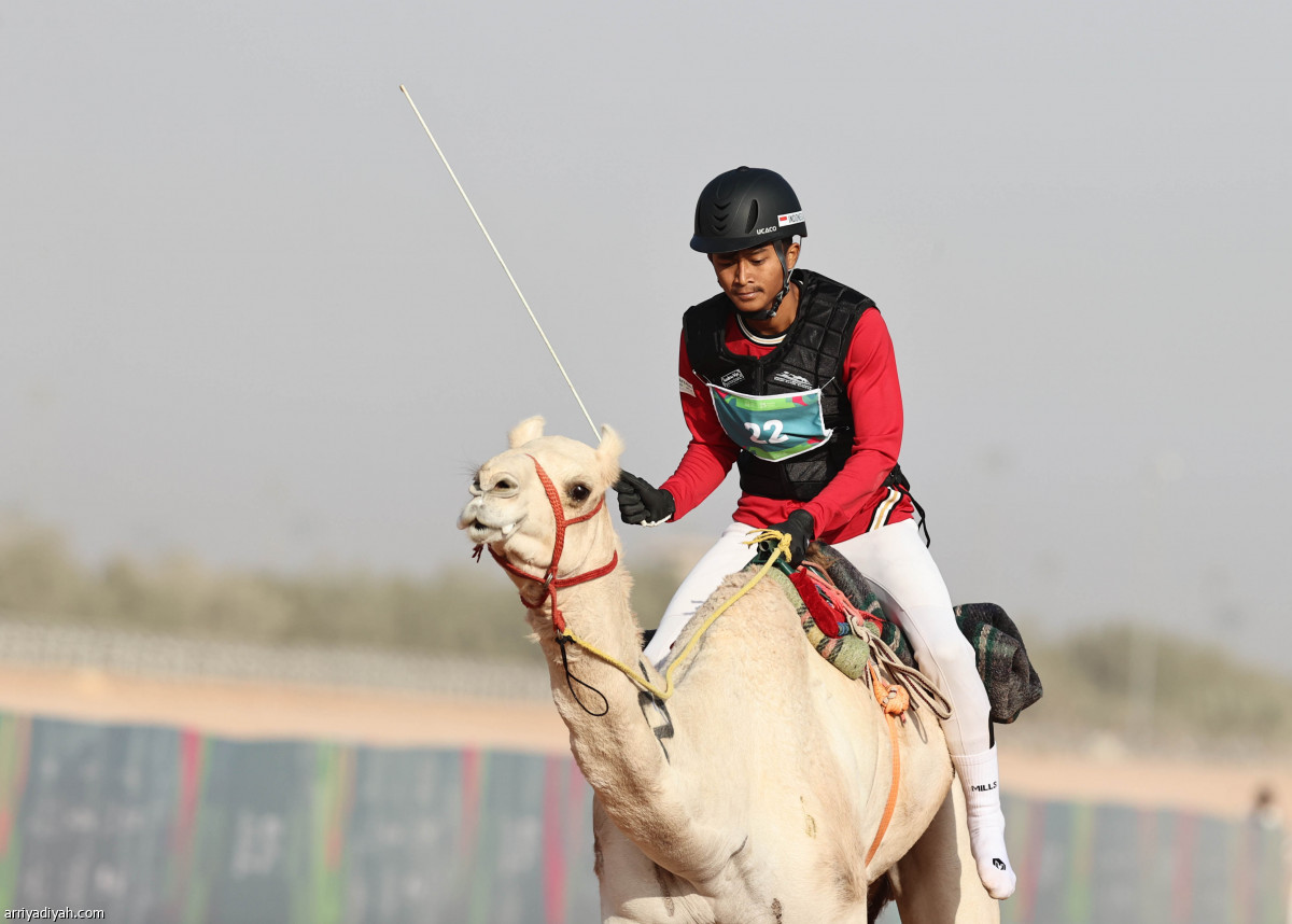 منافسات الهجن