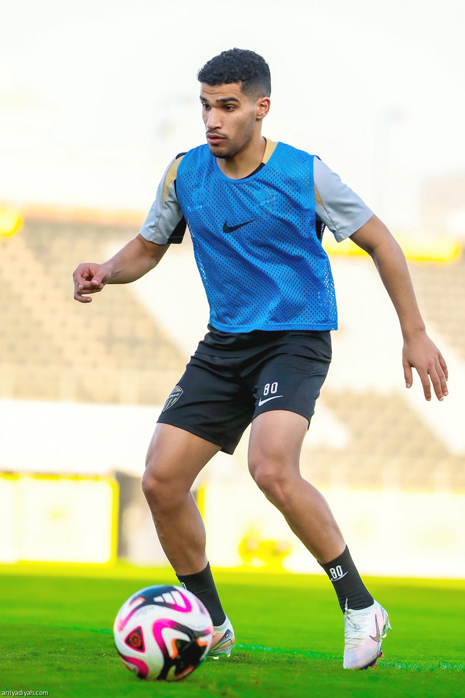 تحضيرات النمور