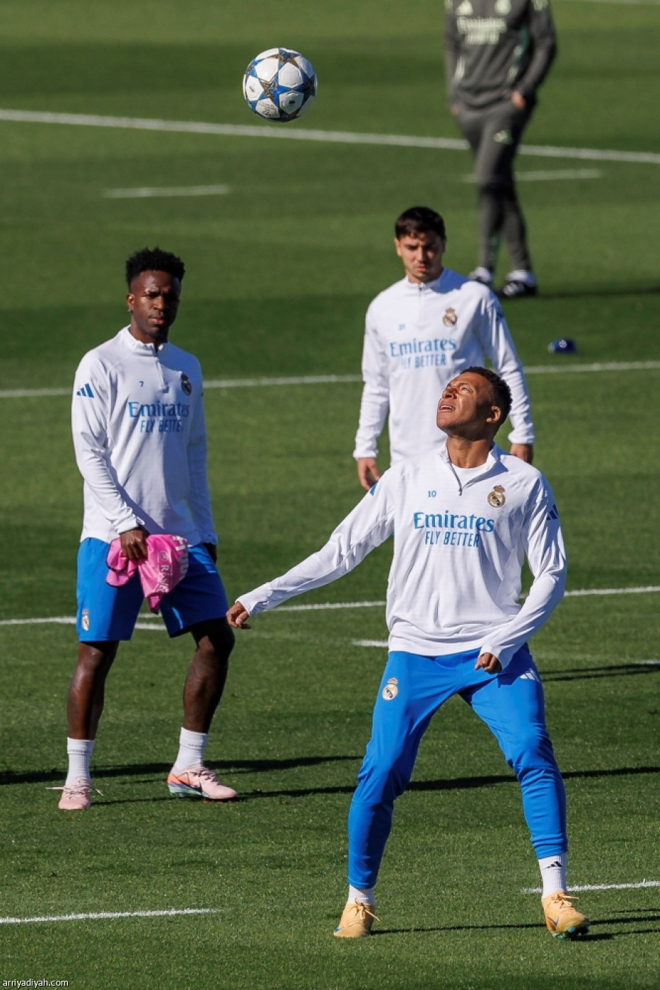 لمسات أخيرة