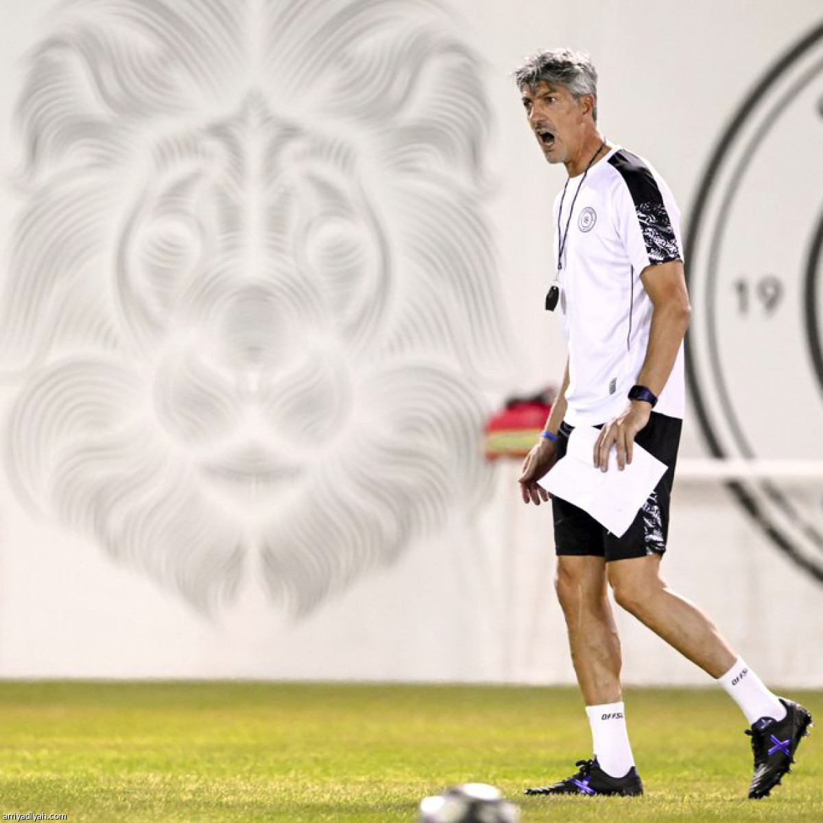 الليوث تتأهب