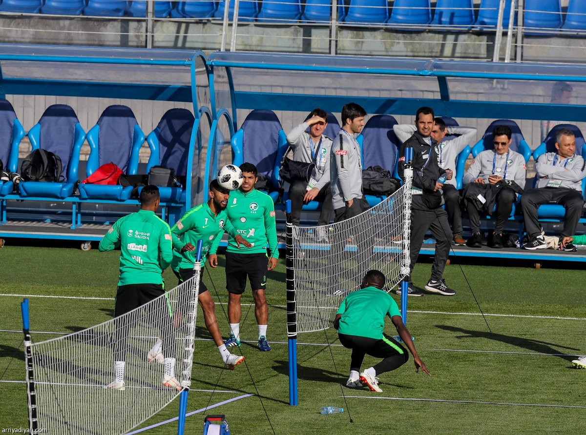 الأخضر  في سان بطرسبرج