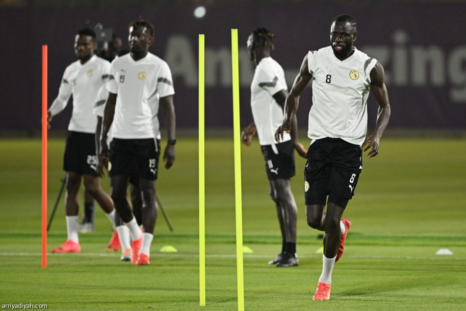 هولندا تخشى مفاجآت السنغال