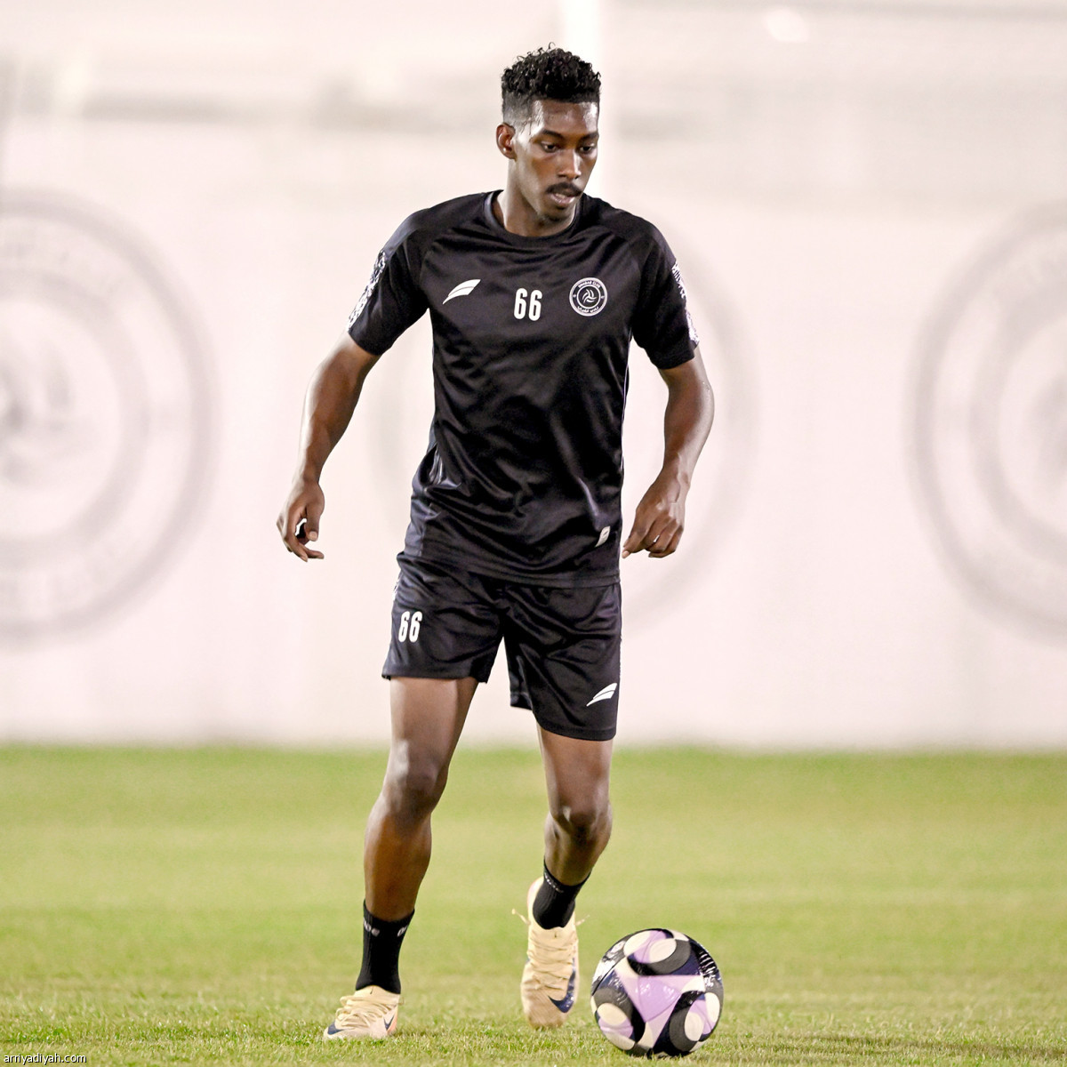 الليوث تتأهب