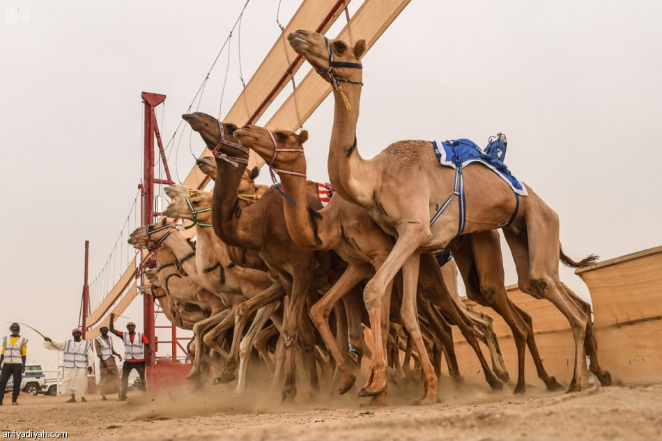 الراية 
يقترب من اللقب.. ودلما تسجل أفضل توقيت