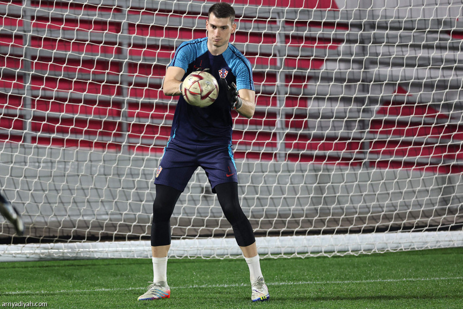 مشاركة 1998 
تحفز الأسود