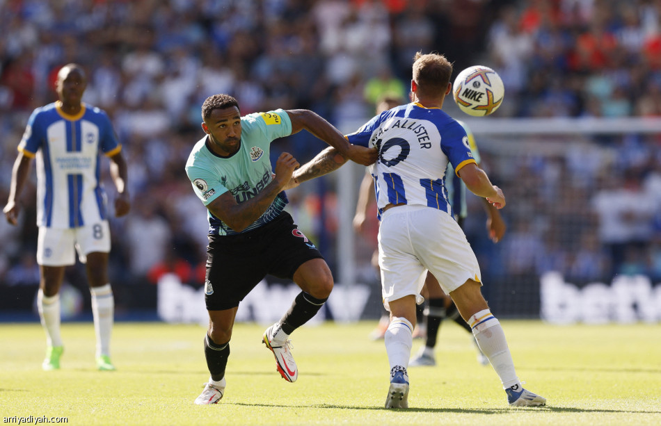 برايتون ونيوكاسل يكتفيان بالتعادل