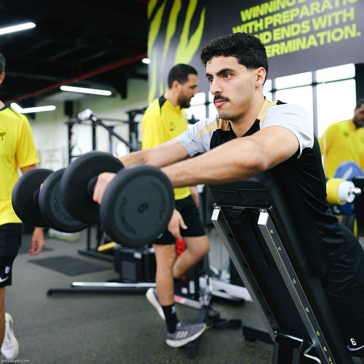 «النمور» تعاود الركض