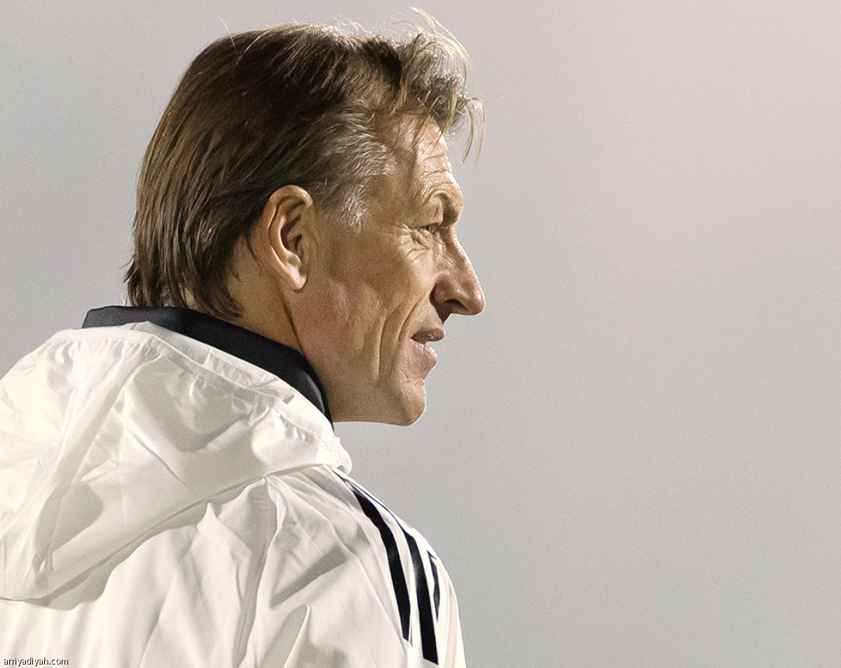 إطلالة الصقور