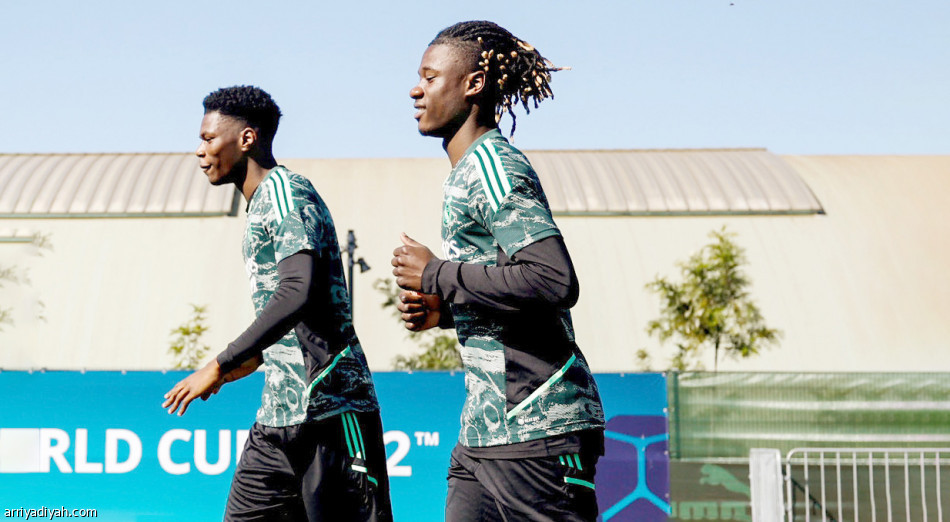 بنزيمة وميليتاو 
ينتظران قرار أنشيلوتي