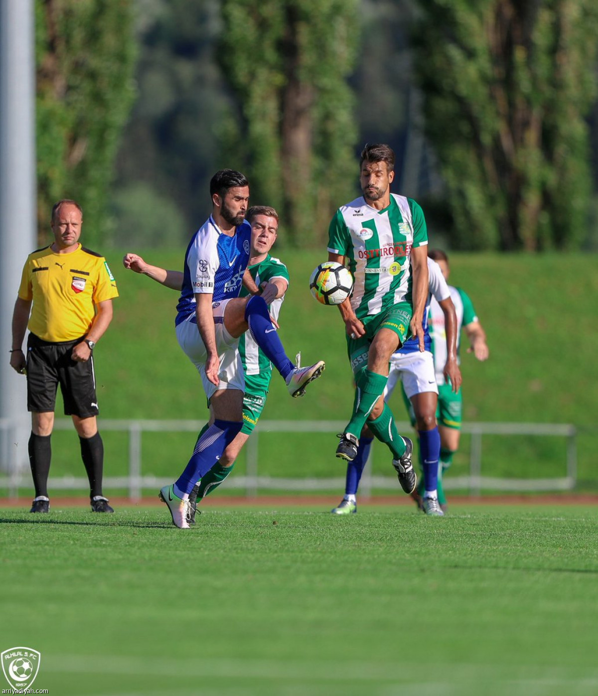 البرتغالي يرصد