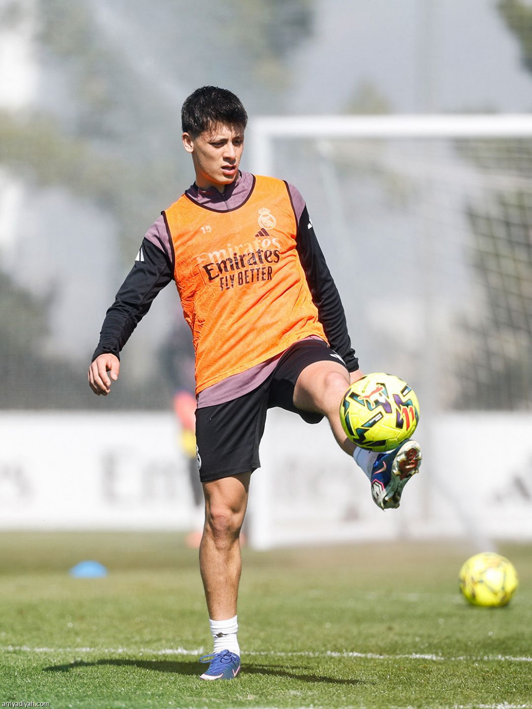 الريال متأهب