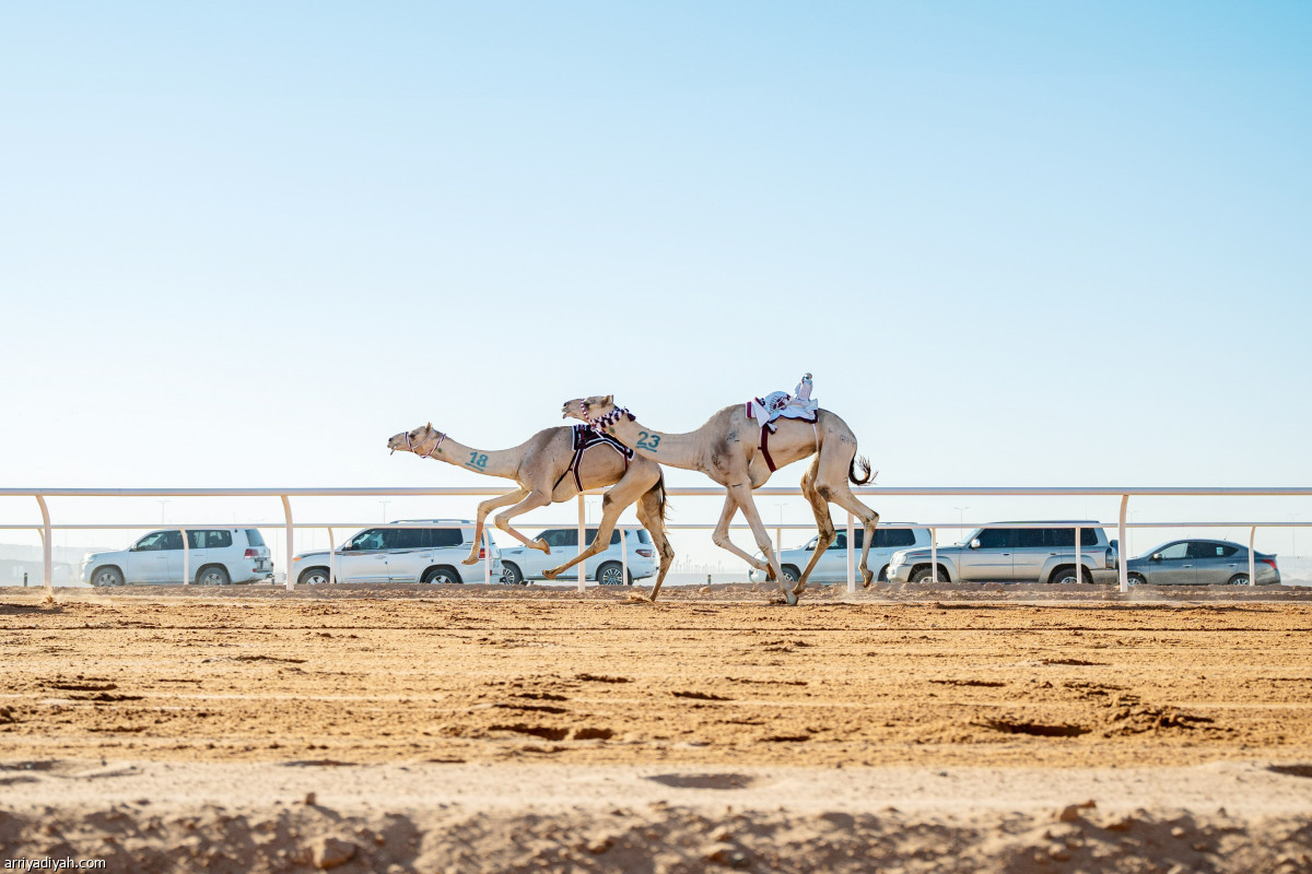 ترقب وتوجيه