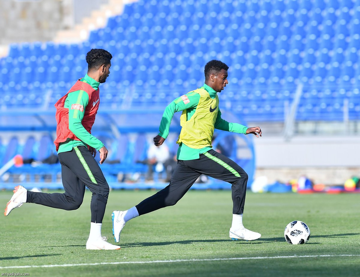 الأخضر  في سان بطرسبرج