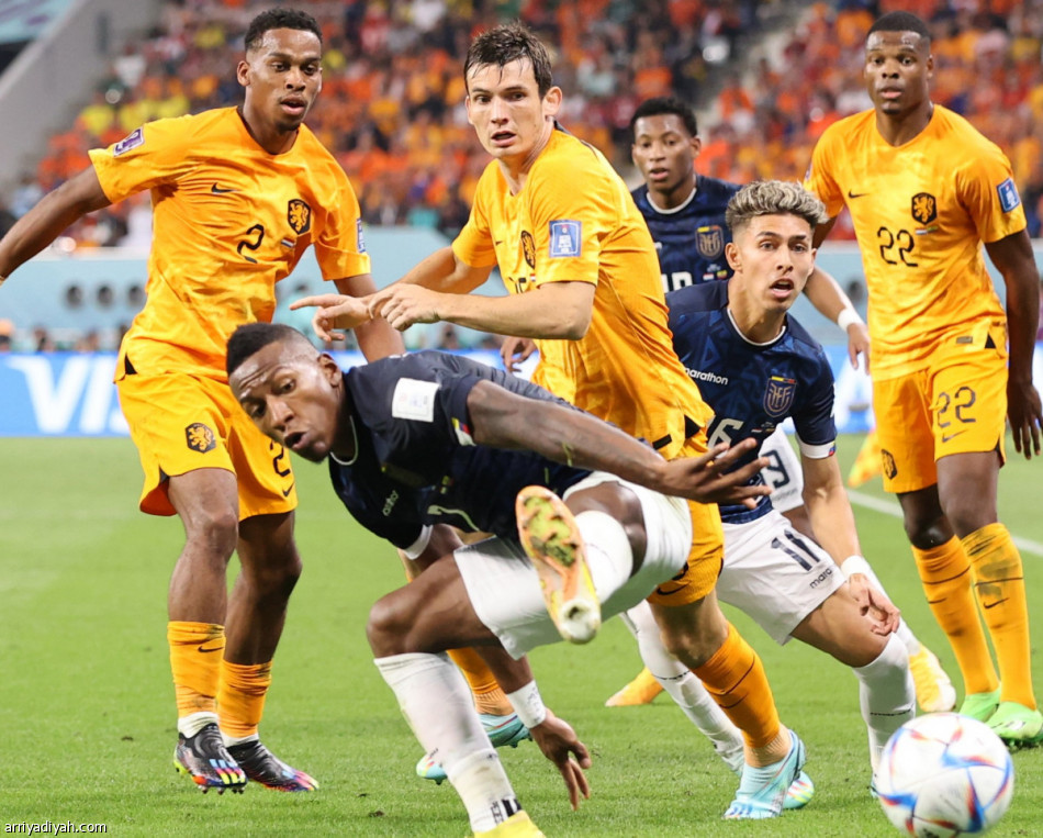 رسميا.. قطر تخسر التأهل  بتعادل هولندا والإكوادور