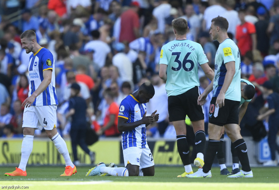 برايتون ونيوكاسل يكتفيان بالتعادل